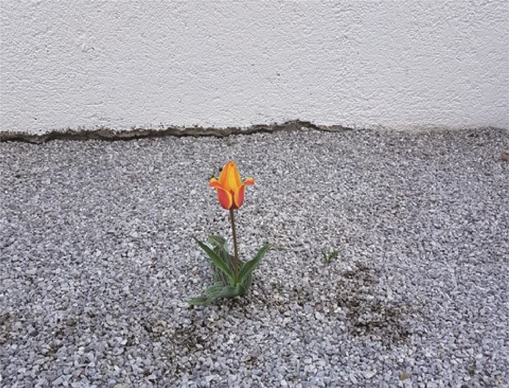 WAS UNS ZUVERSICHT SCHENKT