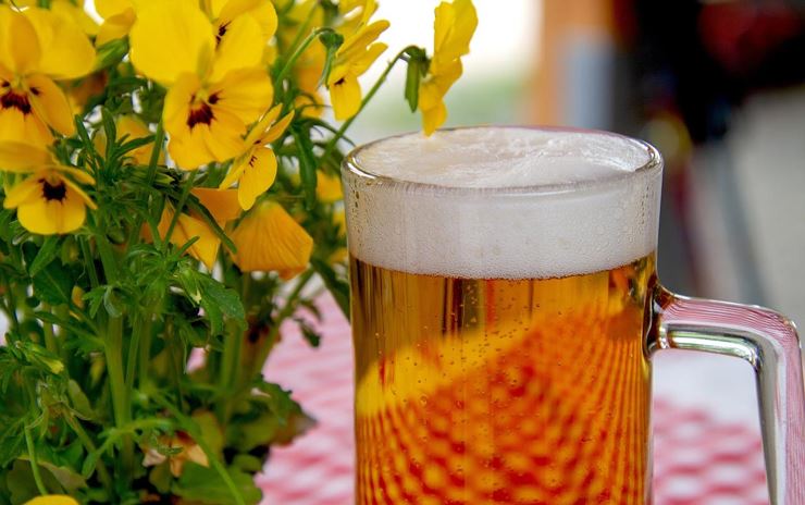1. Frühschoppen
