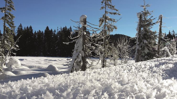Kreative Winterwerkstätte 'Schnee-/ Lawinenkunde und Orientierung'