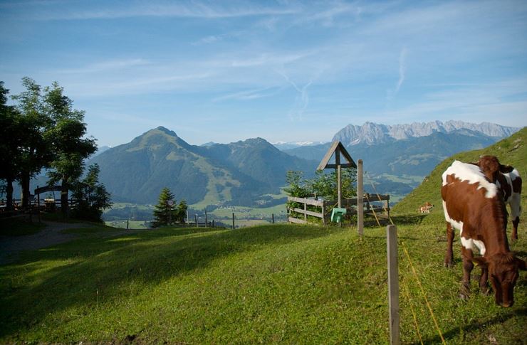 Taubensee