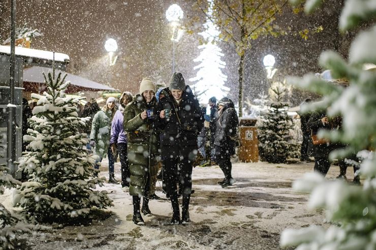 Weihnachtsmarkt im Stadtpark