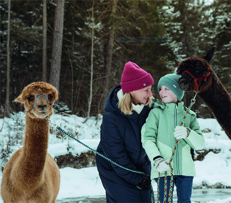 Kreative Winterwerkstätte ' Winterwanderung mit Alpakas und Lamas