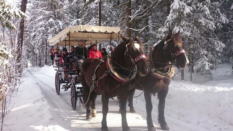 Kutschenfahrt um den Walchsee