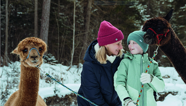 Kreative Winterwerkstätte ' Winterwanderung mit Alpakas und Lamas