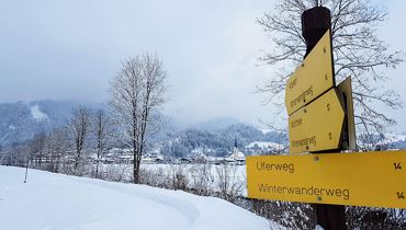 Geführte Wanderung von Kössen nach Schwendt und zurück